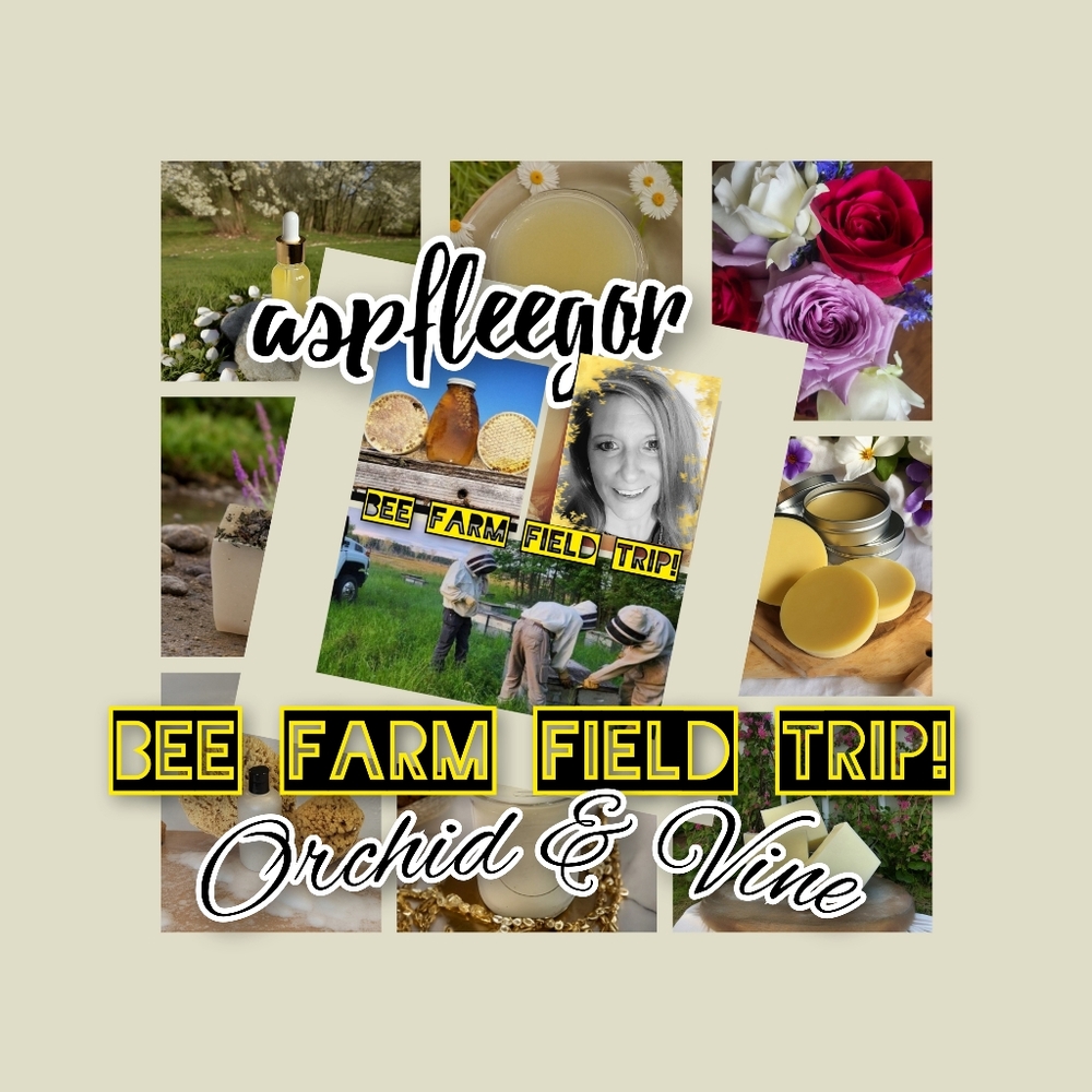 @aspfleegor Orchid & Vine https://posh.mk/p4xqkonnY5b - Picture 11 of 16